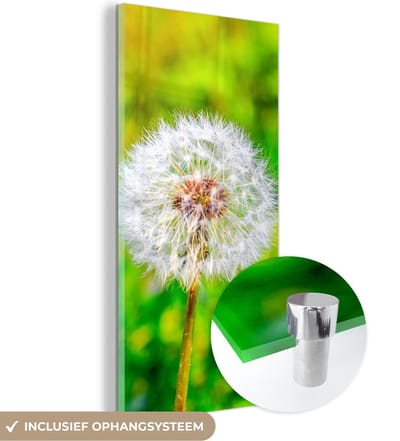 MuchoWow® Glasschilderij 20x40 cm - Schilderij acrylglas - Paardenbloem - Grasveld - Bloem - Foto op glas - Schilderijen