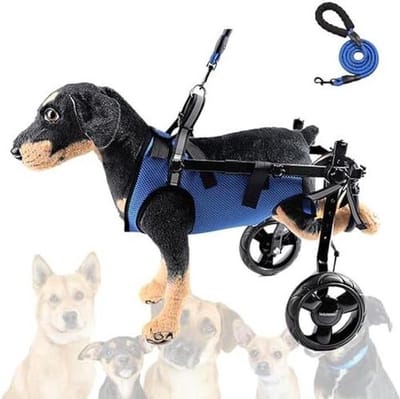Honden Rolstoel - Mobiliteitshulp Huisdier - Ondersteuning Wandelen - Verstelbare Pasvorm - Lichtgewicht 1.4kg - Zilver