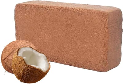 Kokosvezelblokken - Potgrond - Planten Kweken - Bevordert Vochtregulering - 6-7 Liter Schuimend - Bruin