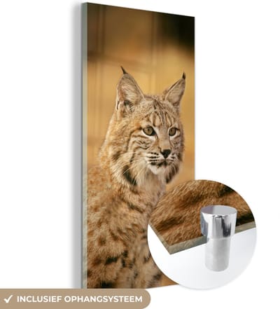 MuchoWow® Glasschilderij 20x40 cm - Schilderij acrylglas - Lynx - Bruin - Gras - Foto op glas - Schilderijen