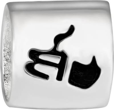 Quiges - 925 - Zilveren - Bedels -Sterling zilver - Beads - Horoscoop Waterman Kraal Charm - Geschikt – voor - alle bekende merken - Armband Z155