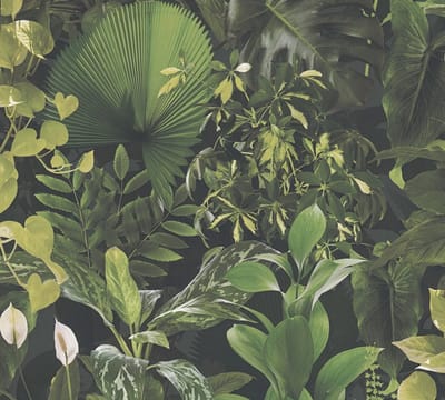 JUNGLE-OASE BEHANG | Tropisch regenwoud - groen zwart - A.S. Création PintWalls II