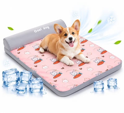 Koelmat voor Honden - Koelmat Hond & Kat - Zelfkoelende Hondenmat Zomer Koelkussen - Met Afneembare Wasbare Hoes -voor Thuis, Onderweg of in de Auto - M 65x45x4cm - 1 Stuk