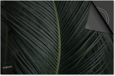 Inductie beschermer 60x60 - afdekplaat inductie mat - Dietrix Kookplaat beschermer - Exclusief - Leaves - 2 Donkergroen blad