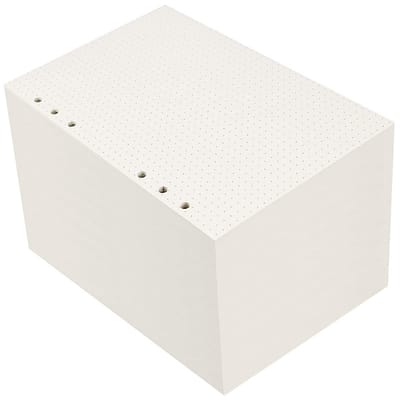 Dailygoods- Gestippeld Papier 10 Pack - A5 Navulling - 450 Vellen - 6 Gaten Geponst - 100 gsm Papier - Duurzaam en Sterk - Navulpapier