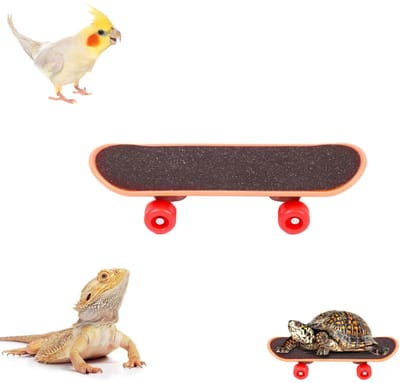 Mini Skateboard - Huisdierspeelgoed - Fingerboard Deck - Vinger skateboard - 9,5 cm - Mini Board - Vingerboard - Geschikt Voor schildpadden, papegaaien en andere kleine dieren