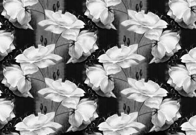 Fotobehang Vlies | Bloemen | Grijs, Zwart | 368x254cm (bxh)