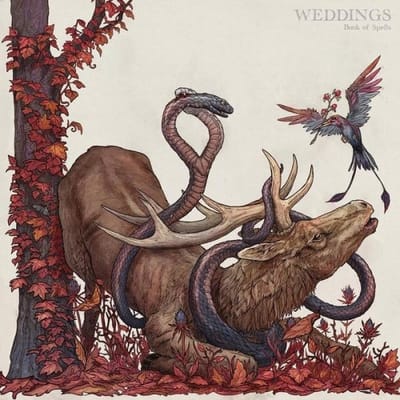 Weddings - Book Of Spells (LP)