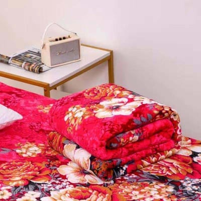 Couvertures simples et doubles en flanelle chaude et épaisse, draps climatisés, couvertures douces, tailles multiples 200*230cm