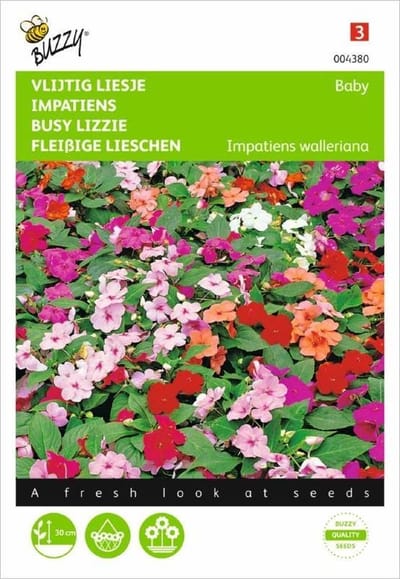 Vlijtig liesje Nana Baby - Impatiens walleriana