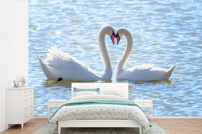 Behang - Fotobehang Vogels - Zwaan - Water - Liefde - Zon - Breedte 600 cm x hoogte 400 cm