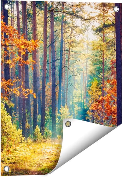 Gards Tuinposter Herfstbos met Zonneschijn - Kleur - 40x50 cm - Tuindoek - Tuindecoratie - Wanddecoratie buiten - Tuinschilderij