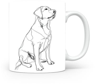 Beker Labrador Retriever