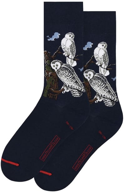 John James Audubon - Snowy Owl 36-40