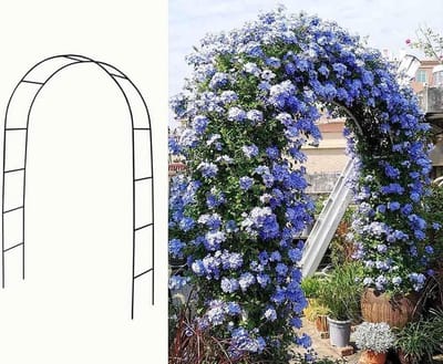 Metalen Tuinboog - Rozenboog Prieel - Planten Ondersteunen - Weerbestendig Metaal - Breed 3 Meter - Zwart