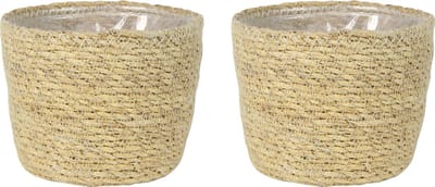 Ter Steege Plantenmand - Set van 2x stuks - zeegras - rotan - beige - 15 x 12 cm - plastic binnenkant
