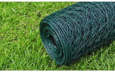 Kippengaas - Tuingaas Rol - 25 x 0,5 Meter - Maaswijdte 50 mm - Groen PVC Gecoat Staal - Afrastering voor Pluimvee en Moestuin - Weerbestendig Zeskantvlechtwerk