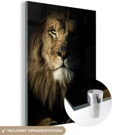 MuchoWow® Glasschilderij 120x160 cm - Schilderij acrylglas - Leeuw - Licht - Zwart - Foto op glas - Schilderijen