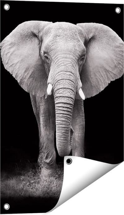 Gards Tuinposter Olifant - Zwart Wit - 40x60 cm - Tuindoek - Tuindecoratie - Wanddecoratie buiten - Tuinschilderij
