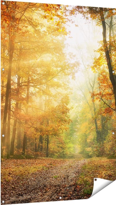 Gards Tuinposter Herfstbos met Zonneschijn - 100x150 cm - Tuindoek - Tuindecoratie - Wanddecoratie buiten - Tuinschilderij