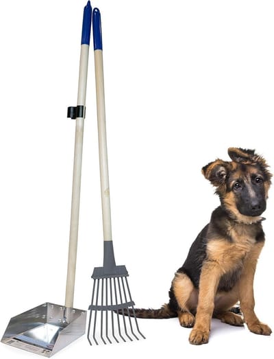 Poepschep met hark - Hondenpoep schep - Buiten opruimen - Lange steel - 93 cm - Metaal