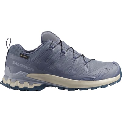 Salomon XA PRO 3D V9 GTX, trailrunningschoen, dames, grijs/blauw