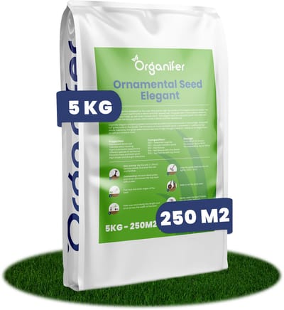 Siergazon Graszaad - Elegant (5kg, 250m2) Organifer - Graszaad Snelkiemend - Graszaad Schaduw - Gazonzaad - Graszaden - NAK Gecertificeerd - Sterk Zelfherstellend - Jaarrond Donkergroene Kleur - Perfect voor Tuin, Park & Siertuin