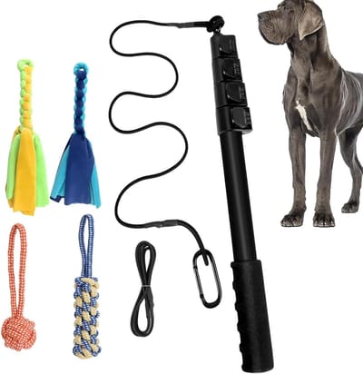Dogs Flirt Pole - Flirt Pole Touw, Speels Hondenspeelgoed | Achtervolging op kauwen Gevlochten Katoenen Touw, Outdoor Pet Flirt Stok Chew Toy Tether Lokken Speelgoed voor Kleine Medium Grote