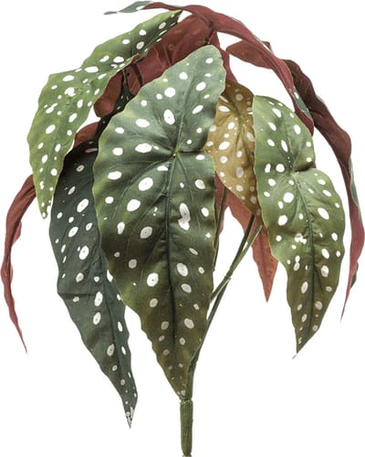 Begonia maculata bush 33 cm /12lvs kunstbloem zijde nepbloem Emerald