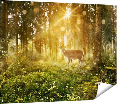 Gards Tuinposter Hert in Bos met Zon - 120x90 cm - Tuindoek - Tuindecoratie - Wanddecoratie buiten - Tuinschilderij
