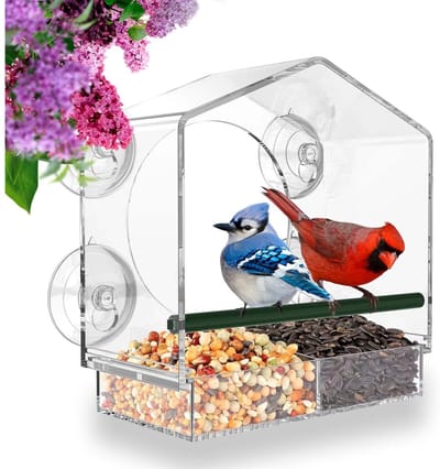 GELLDG Voederhuisje geschikt voor aan het raam - 20 x 21 cm - Transparant vogelhuisje - Met zuignap en zitstok - Voederstation geschikt voor vogels - Voederhuisje geschikt voor bevestiging aan glas