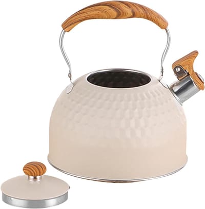 Fornuis Waterkoker - Fluitketel Keuken - Water Koken - Inductie Geschikt - 25 Liter - Zilver