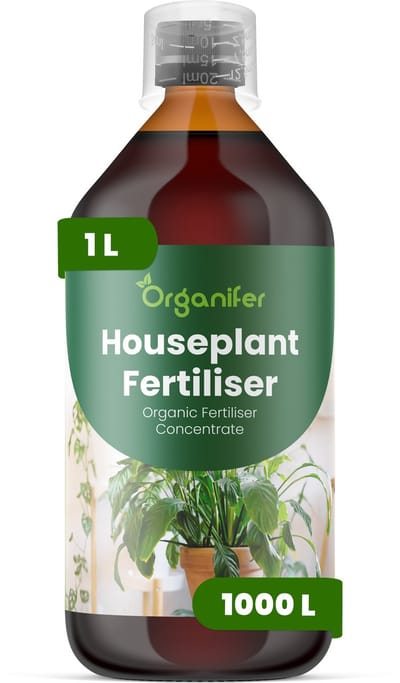 Vloeibare Meststof Voor Kamerplanten 1 Voor 1000 L - Npk 2-1-8 - Ondersteunt Gebalanceerde, Gelijkmatige Groei Voor Alle Kamerplanten - Versterkt Wortelactiviteit En Verbetert Nutriëntenopname -Verbetert Bladkleur, Dichtheid En Stevigheid - Organifer