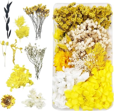 Dailygoods - Gedroogde bloemen natuurlijke gedroogde bloem decoratie gedroogde bloemen epoxyhars voor kaarsen doe-het-zelf kaars nagels ambachten scrapbooking bloemen decoratie (geel)