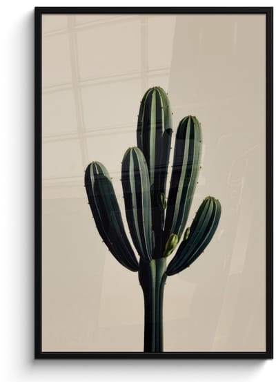 Poster in lijst - Fotolijst 80x120 cm - Posters - Cactus - Subtiel - Groen - Posterlijst zwart - Decoratie - Wanddecoratie woonkamer - Muurdecoratie slaapkamer