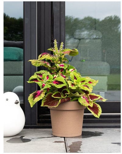 GARDEN ID – Glamour Round – Bloempot met watertank – Taupe