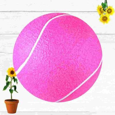 1 Stuks Roze Tennisballen Tennisbal Roze Ouder-kind Interactie Props Kinderspeelgoed voor Actief Huis