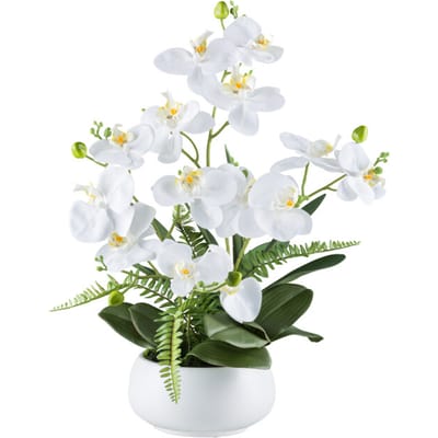 Kopu® Kunstbloem Orchidee 55 cm 4 takken op schaal - Phalaenopsis Wit