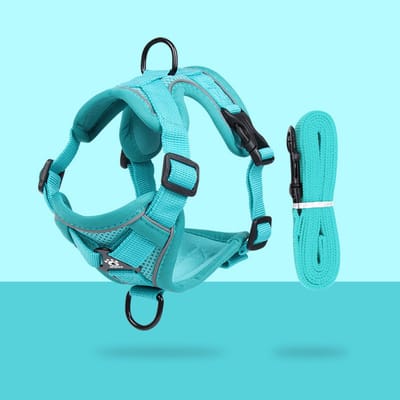 Kattentuig met riem, anti-ontsnapping, verstelbaar harnas met reflecterende strepen - voor katten, kittens, puppy's (M) - veiligheid en comfort in één product-Meerblauw