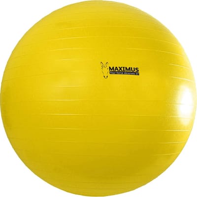 Hofman Maximus Power Play Ball Ø 100 cm - Paardenspeelgoed - Paardenbal - Speelgoed voor Paarden – Geel