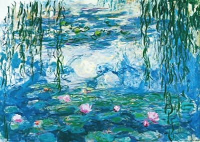 Puzzel met 1000 stukjes - Waterlelies - Klassieke puzzels voor volwassenen - 70 x 50 cm