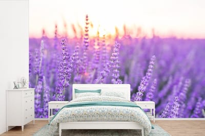 Behang - Fotobehang Lavendel - Close-up - Paars - Bloemen - Breedte 390 cm x hoogte 260 cm