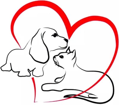 GoedeDoelen.Shop | Body Tattoo Heart Cat And Dog | Honden Tattoo | Katten Tattoo | Tijdelijke Tatoeage | Dog Tattoo | Cat Tattoo | Hond | Poes | Nep Tattoo