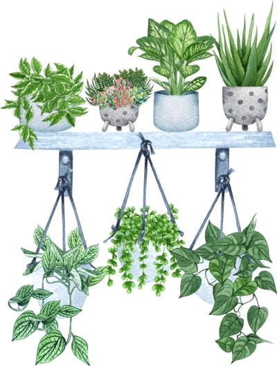 Blanco wenskaart wandrekje planten – 13x13 cm – gevouwen kaart – inclusief witte envelop – stevig papier – wenskaart