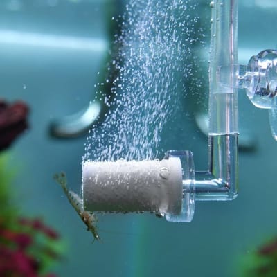 Dailygoods- CO2-diffuser 360° roterend - mini CO2 verstuiver - acryl bellenteller - met zuignap - voor aquariumplanten - eenvoudig te reinigen - Aquarium CO2-systeem