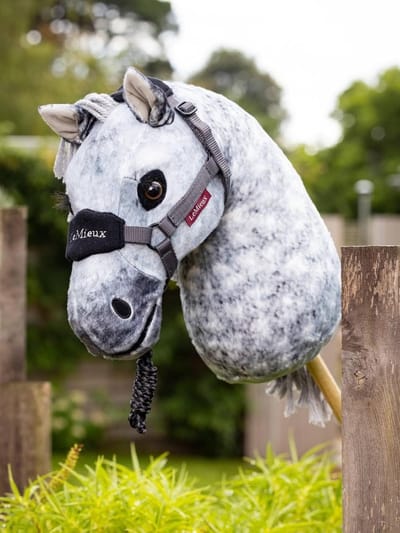 Hobby Horse Speelgoedpaard met Pluche Hoofd en Stok