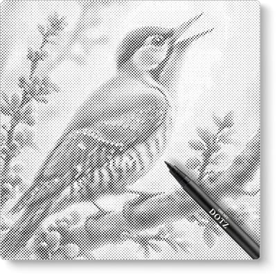 Specht Op Tak | Dot painting | 40x40cm | Dot painting | Oh My Dotz | Dots stippen | Diamond painting & Schilderen op nummer alternatief | Happy hobby
