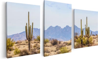 Artaza Canvas Schilderij Drieluik Cactussen in de Woestijn - 120x60 cm - Wanddecoratie Woonkamer - Schilderijen - Muurdecoratie