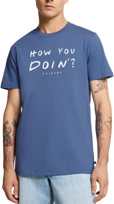 Friends How You Doin' Citaat Premium T Shirt Heren