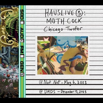 Hauslive 3